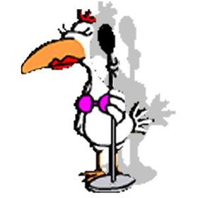 Animated icon funny music folder bird