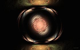 Seed