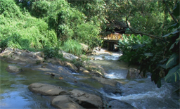 Northern Thailand