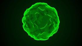 Virus