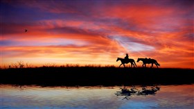 Cowboy_Sunset