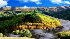 Fall_Forest_Stream