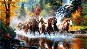 Wild_Mustangs
