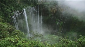 Rainforest_Weeping_Waterfalls