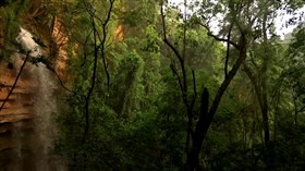 Beautiful_ObscureForest_WaterFalls
