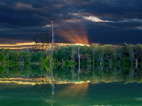 Green_Bayou