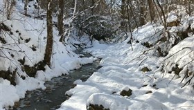Snowy_Mountain_Creek