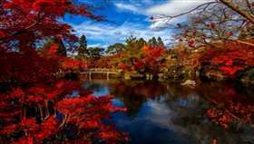 Beautiful_Japanese_Garden