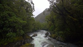 Nice_Jungle_River