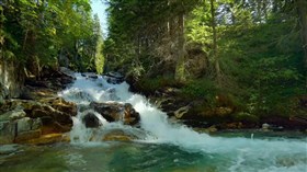 Small Forest Waterfall