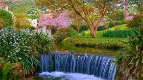 Spring Stream Falls