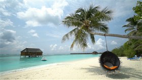 The Island Life
