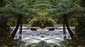 Jungle River
