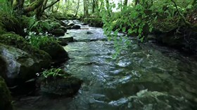 Green River