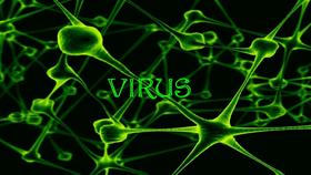 Virus