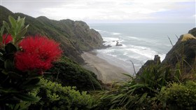 Mercer Bay
