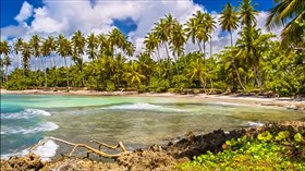 Caribbean II