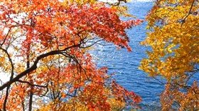 Autumn River