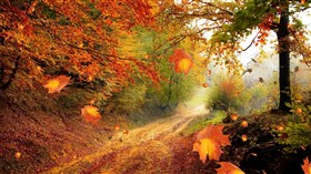 Autumn Preview