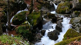Winter Falls