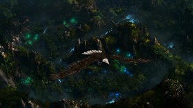 EAGLE DREAM