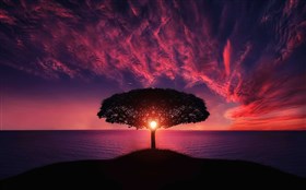 Amazing Sunset