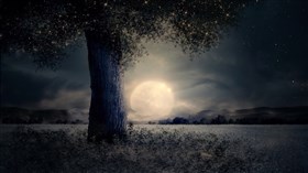 Cloudy Moon 