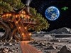 4K Treehouse