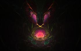 Waterlily