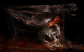 Decay