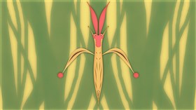 The bug in the grass