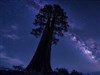 Starry Night