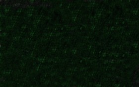 Crocodillian