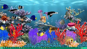 Undersea Fantasy