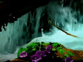 bluewater fall