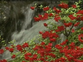 nature's beautiful waterfall