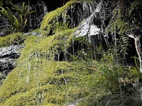 natures wonder falls 2