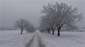 Road to Nowhere (UHD)
