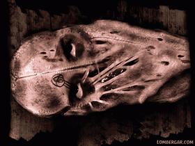 Dissected Thoughts Revisited 2