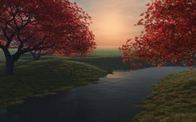 Maple pond