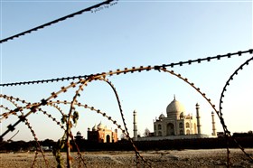 along with Tai Mahal
