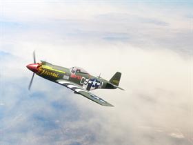 P51-D  Mustang