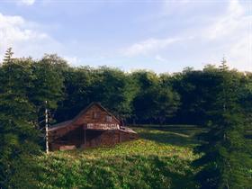 Tennessee Rust