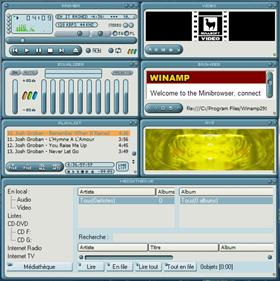 primer_polyp_WA