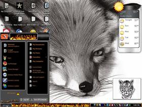 Firefox