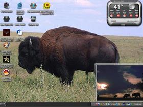 more buffalo 2