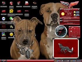 hounds