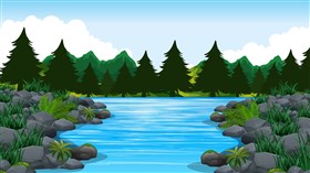 Beautiful Nature Scene
