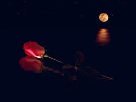 Distant Love