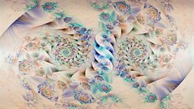 Paisley Design